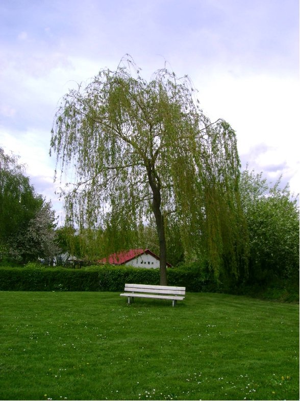Wahrzeichen Kleingärtnerverein Zündorfer Au e.V. Wahrzeichen Kleingärtnerverein Zündorfer Au e.V.